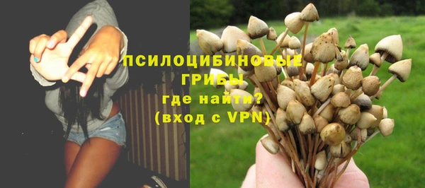 стафф Абаза