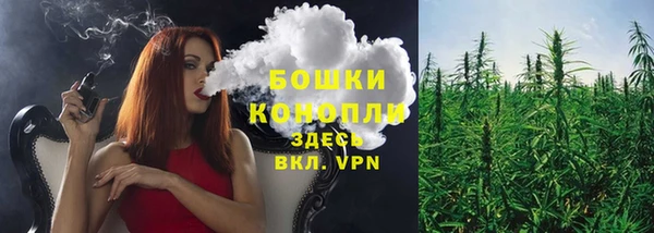 стафф Абаза