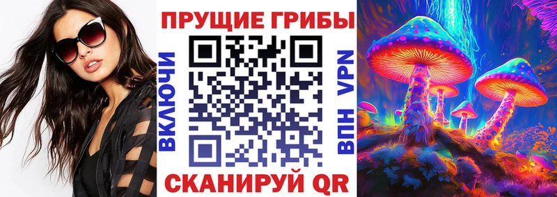 Псилоцибиновые грибы Magic Shrooms  KRAKEN ССЫЛКА  Сорск  купить наркотики сайты 